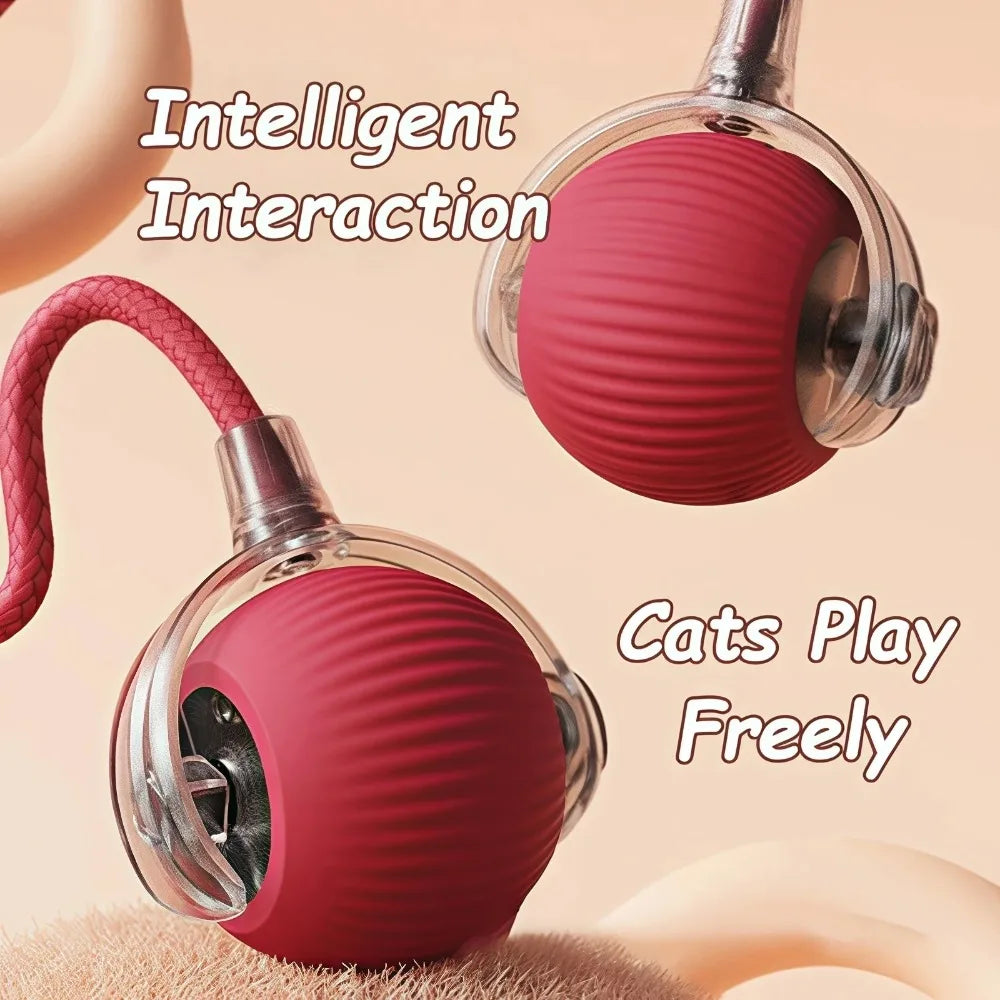 Automatic Rolling Ball Cat Toy With Tail