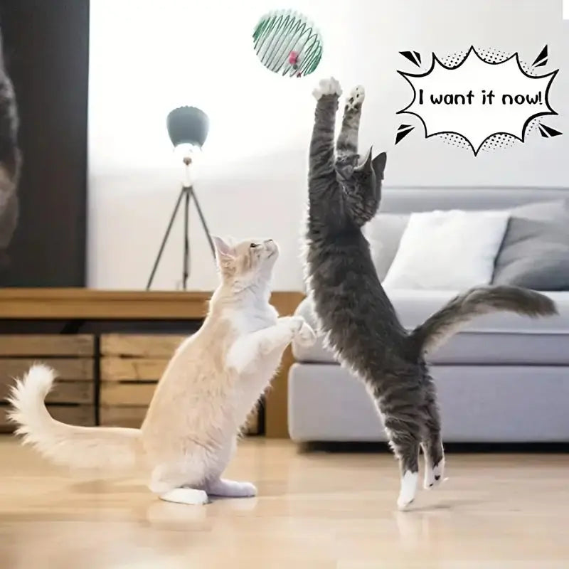Stretchable Spring Cat Toy Chase Balls