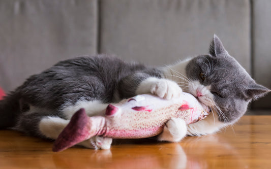 Flopping Fish Electronic Cat Toy, Large, With USB Charger