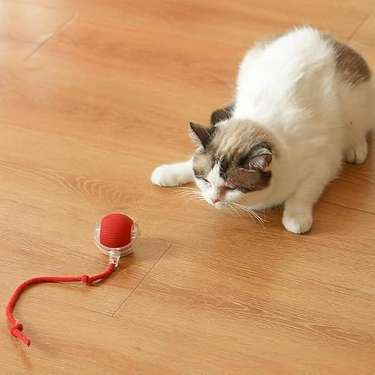 Automatic Rolling Ball Cat Toy With Tail