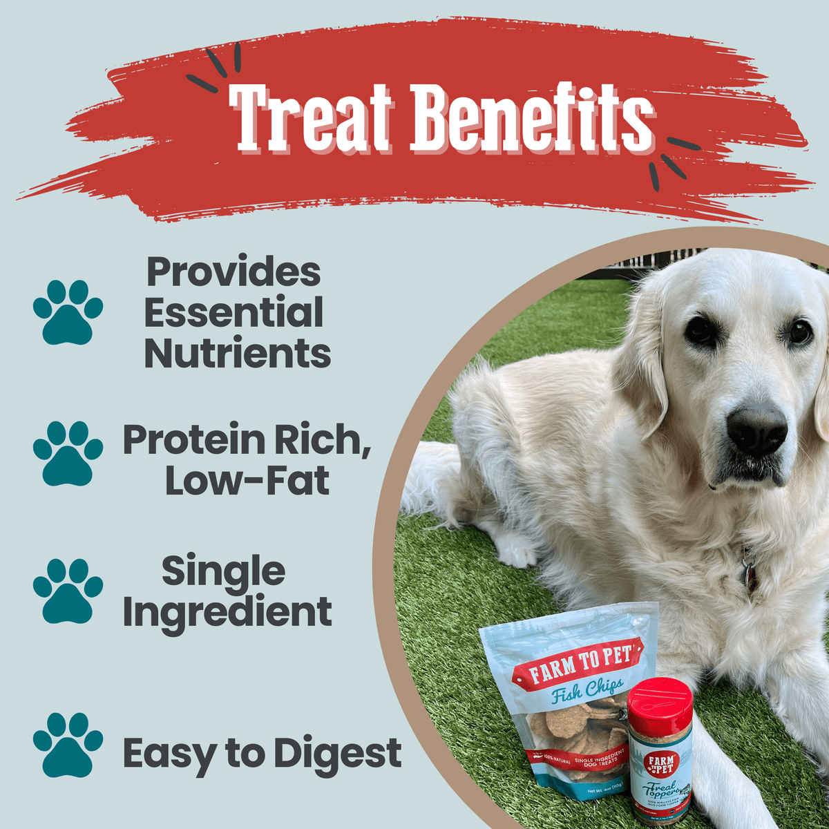 Fish Chips for Dogs | Wild-Caught Fish Dog Treats