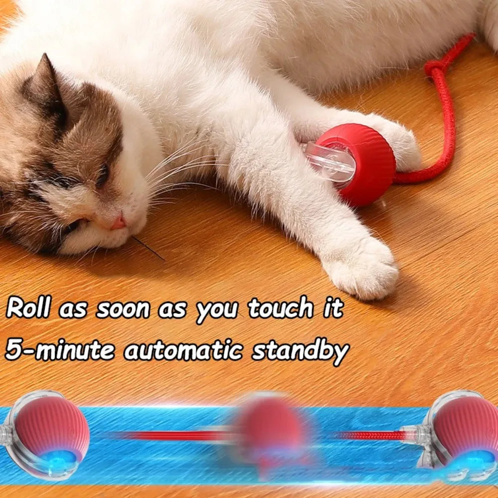 Automatic Rolling Ball Cat Toy With Tail