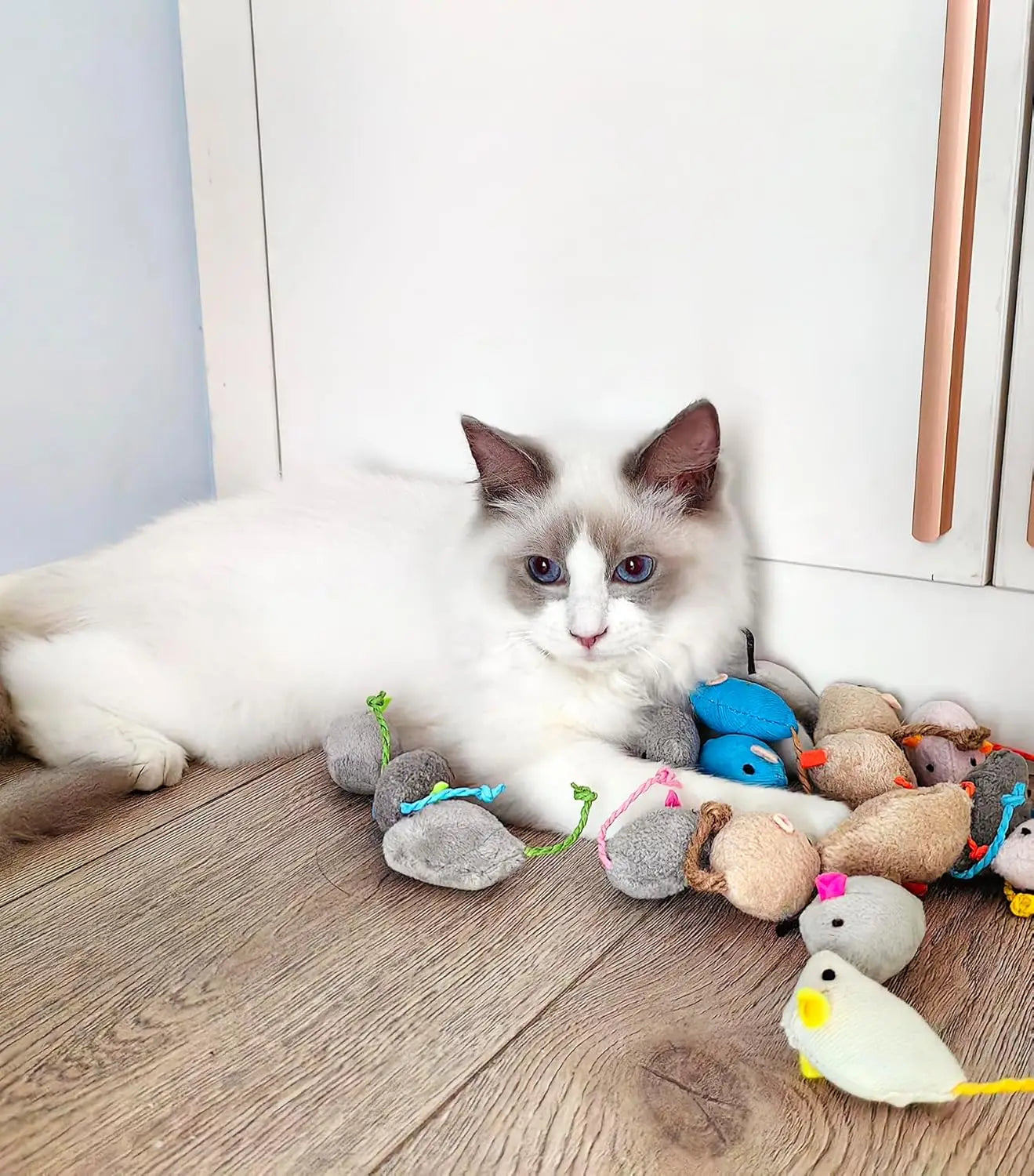 Fuzzy Mice Cat Toys with Catnip