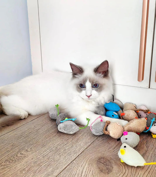 Fuzzy Mice Cat Toys with Catnip